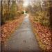 Walking trail during fall