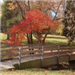 Bridge with trees during fall